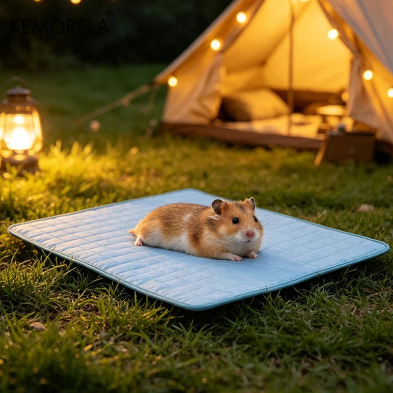 Ice Cool Upgrade Dog Cooling Mat Summer Pet Cold Bed Extra Large For Small Big Dogs Pad Breathable Pet Cold Bed